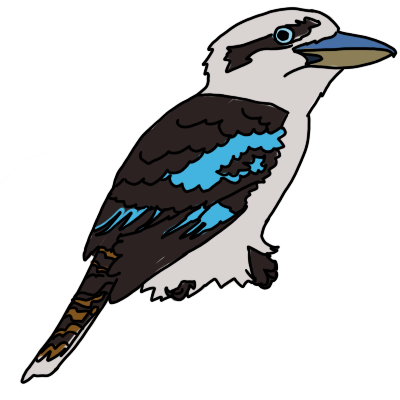 a drawing of a laughing kookaburra (Dacelo novaeguineae)  facing to the right